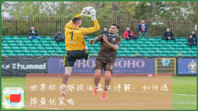 世界杯买球投注盘口详解，如何选择最优策略