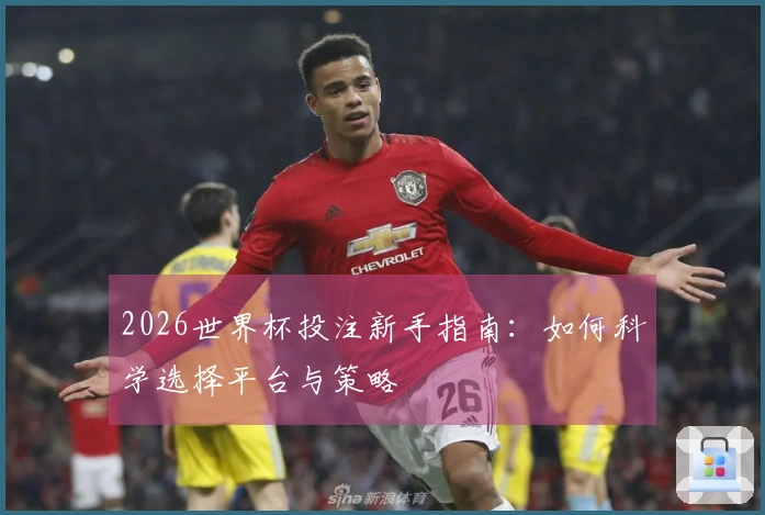 2026世界杯投注新手指南：如何科学选择平台与策略