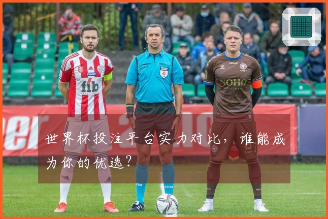 世界杯投注平台实力对比，谁能成为你的优选？